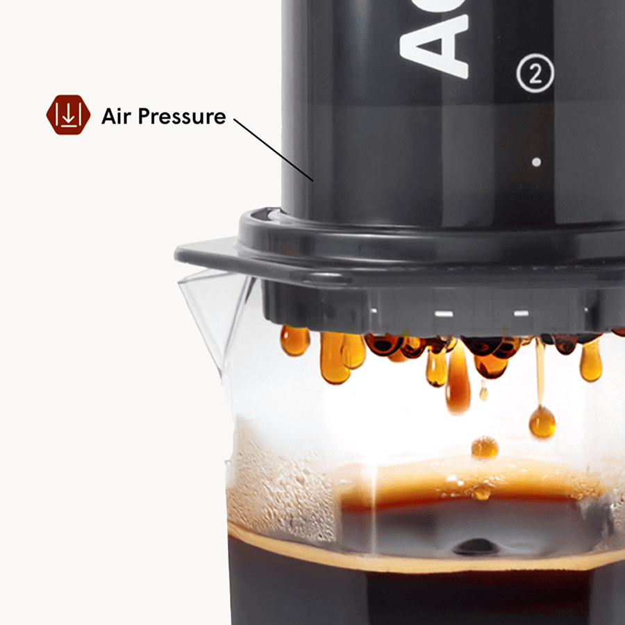 Traveler’s Bundle - Original XL - Brewing Collection for Home Coffee Stations