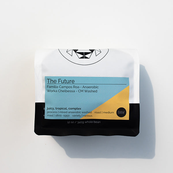 The Future 12 oz - Roasted Coffee for Flexible Brew Methods