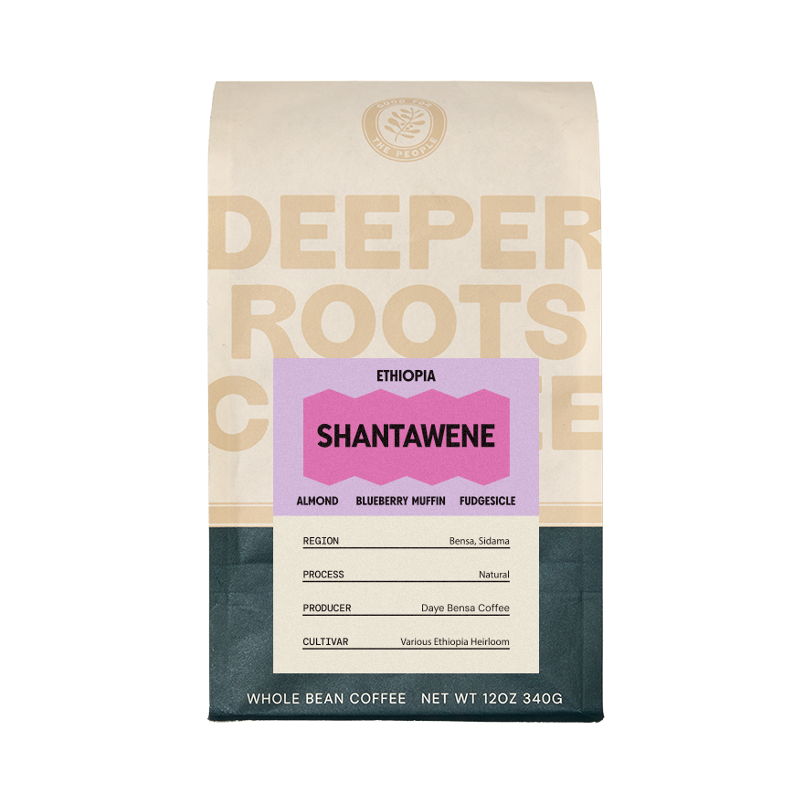 Ethiopia Shantawene 12 oz - Roasted Coffee for Flexible Brew Methods