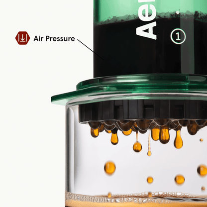 Traveler’s Bundle - Clear - Brewing Collection for Home Coffee Stations