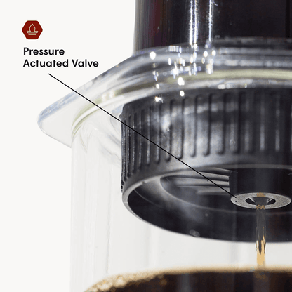 Recipe Bundle - Clear - Brewing Collection for Home Coffee Stations