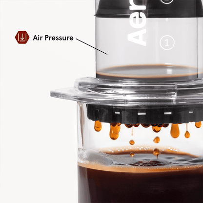 Traveler’s Bundle - Clear - Brewing Collection for Home Coffee Stations