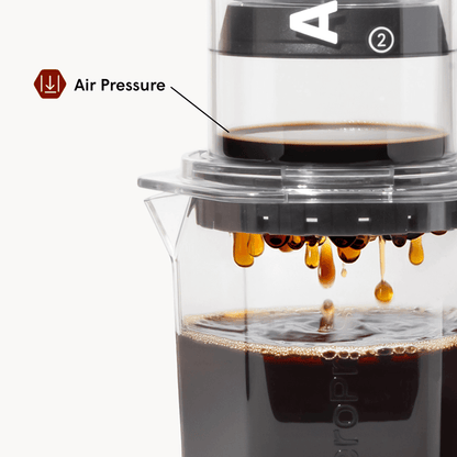 Traveler’s Bundle - Clear XL - Brewing Collection for Home Coffee Stations