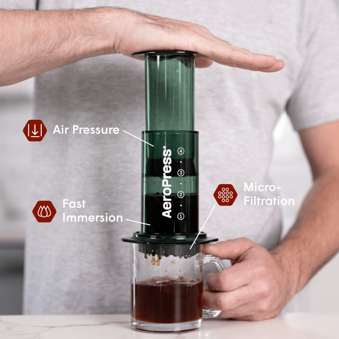 Recipe Bundle - Clear - Brewing Collection for Home Coffee Stations