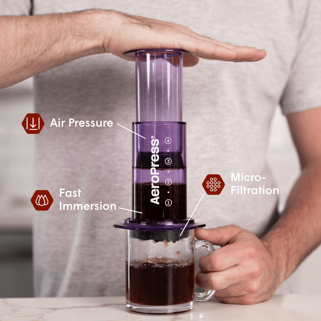 Recipe Bundle - Clear - Brewing Collection for Home Coffee Stations