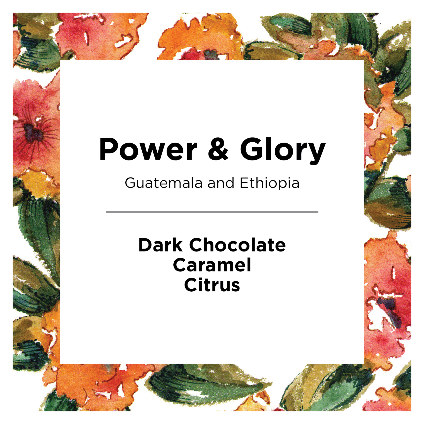 Power & Glory - Roasted Coffee for Flexible Brew Methods