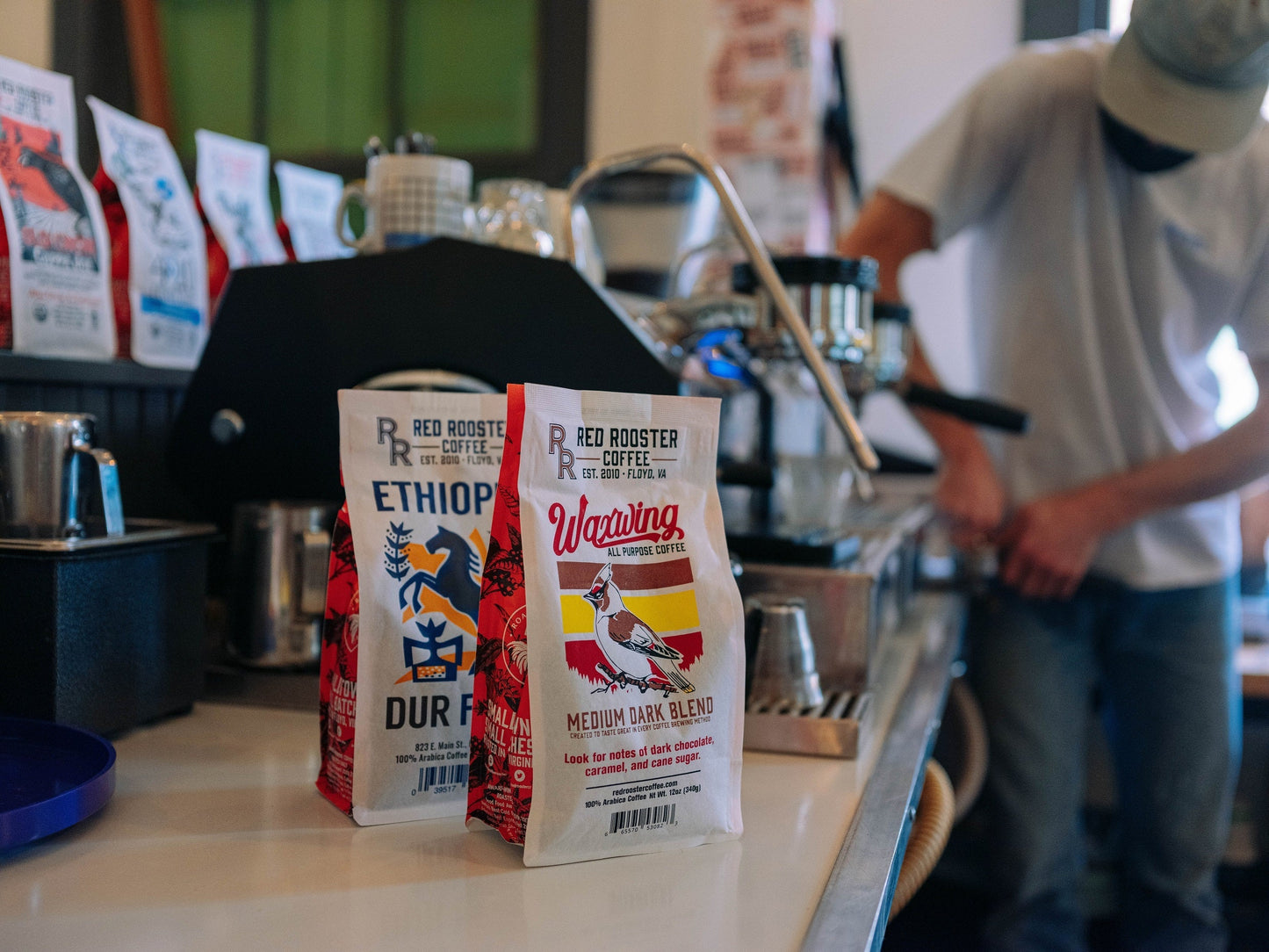 Waxwing All-Purpose Blend - Roasted Coffee for Flexible Brew Methods